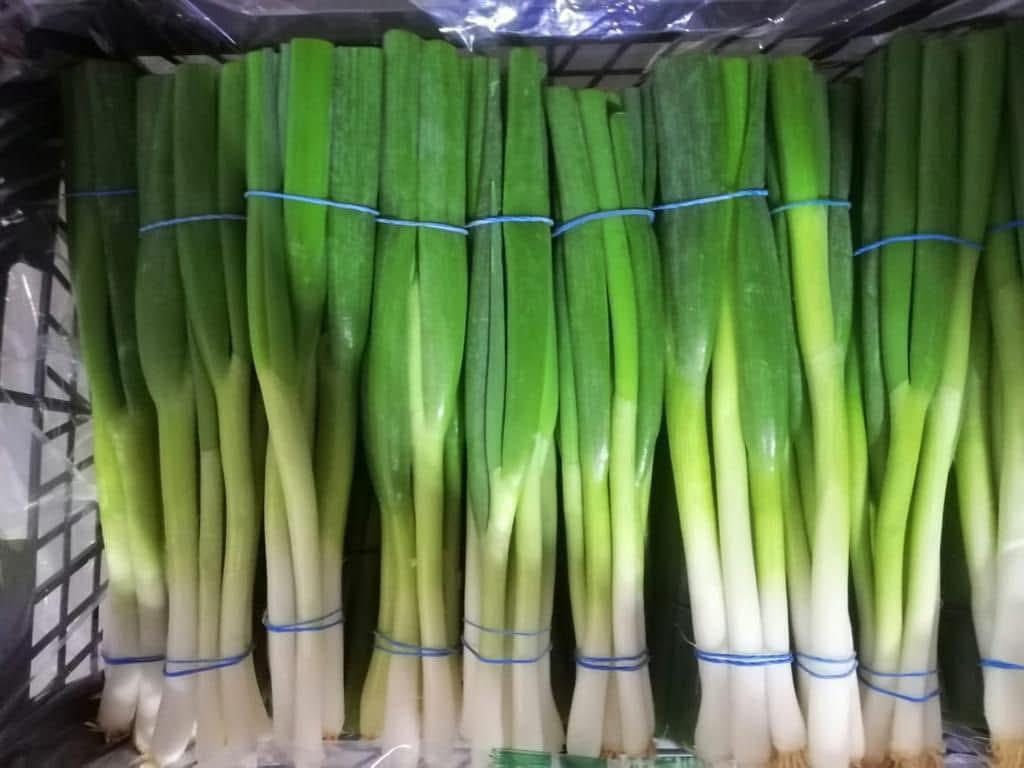 Logistics & Shipping